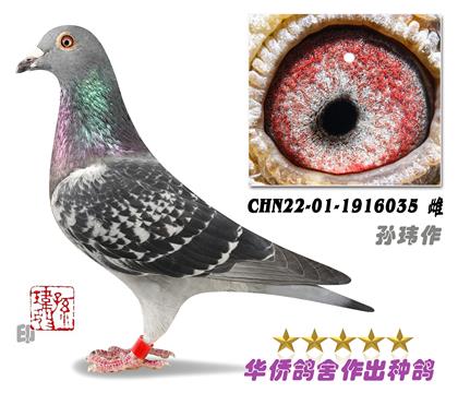5̖(ho)--ؚwB--Ħ˹ϵ1916035-