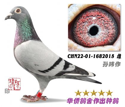 1̖(ho)-ձϵϵղɭ019ϵ1682015-