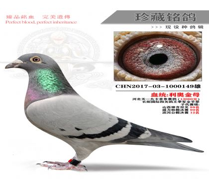 ӱһW149