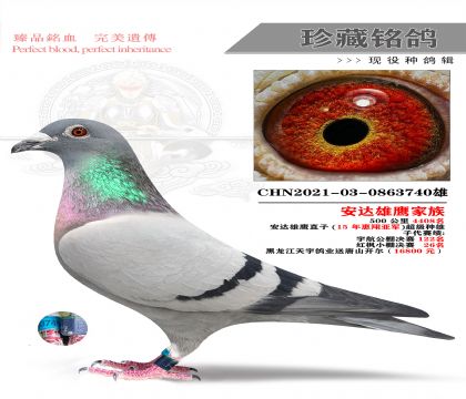 I(y)_رȰ_740