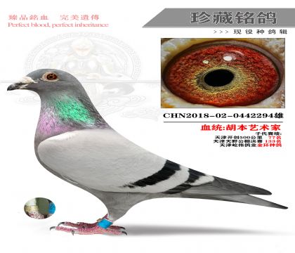 قˇg(sh)ҽh(hun)N294