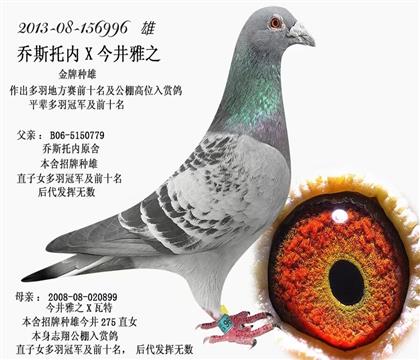 父亲