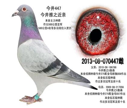 母亲