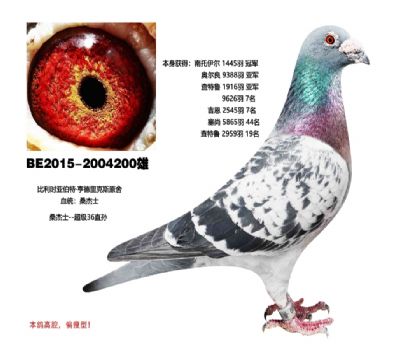 父