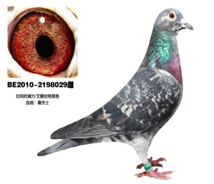 母