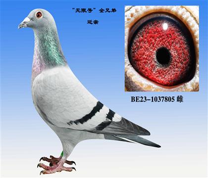 ĸ