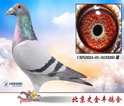 ���ھ�֮�������׻�Ѫ�ָ�