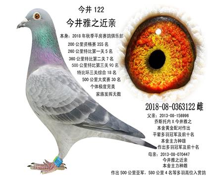 兩次前十名,特比環(huán)綜合18名