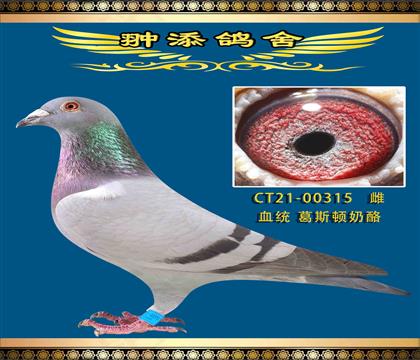 私環(huán)薪金姆全兄弟配薪金姆直女 作出