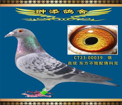私環(huán)東方不敗直孫配佛科克作出公棚厲害