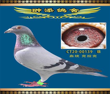 私環(huán)北京壹號克拉克兄妹近親回血作出 絕對好用