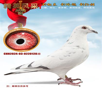 長(zhǎng)城鴿業(yè)魯?shù)? width=