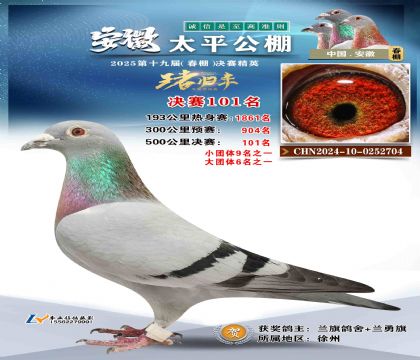 ̫ƽ?jng)Qِ101
