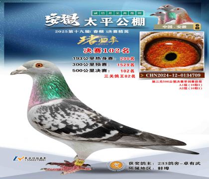 ̫ƽ?jng)Qِ102