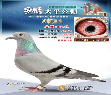 ̫ƽ?jng)Qِ105
