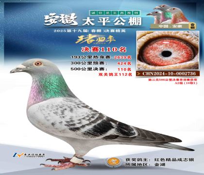 ̫ƽ?jng)Qِ110