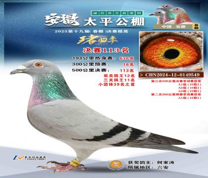 ̫ƽ?jng)Qِ113