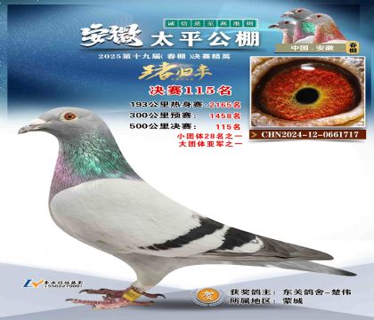 ̫ƽ?jng)Qِ115