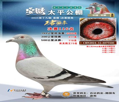̫ƽ?jng)Qِ116