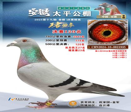 ̫ƽ?jng)Qِ120