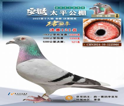 ̫ƽ?jng)Qِ121