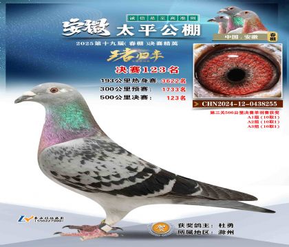 ̫ƽ?jng)Qِ123