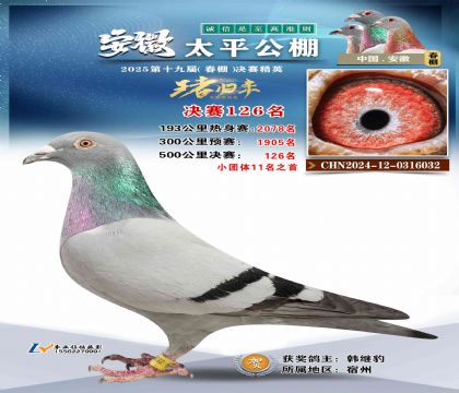̫ƽ?jng)Qِ126