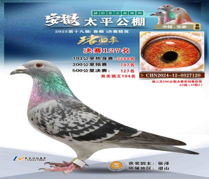 ̫ƽ?jng)Qِ127