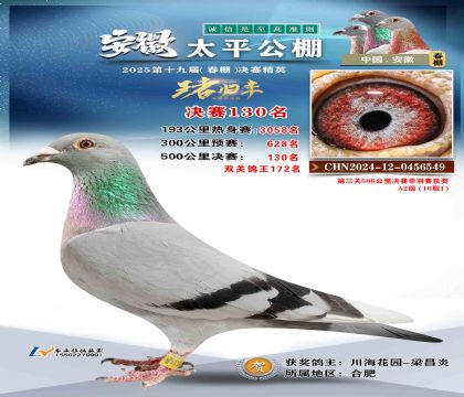 ̫ƽ?jng)Qِ130