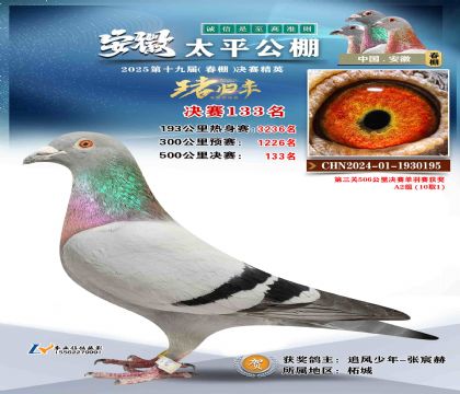 ̫ƽ?jng)Qِ133