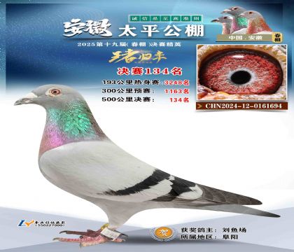 ̫ƽ?jng)Qِ134