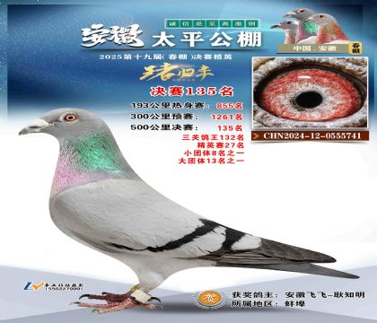 ̫ƽ?jng)Qِ135