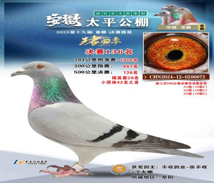 ̫ƽ?jng)Qِ136