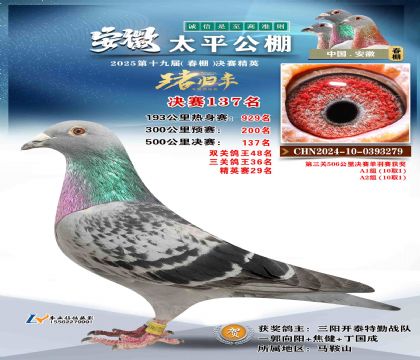 ̫ƽ?jng)Qِ137