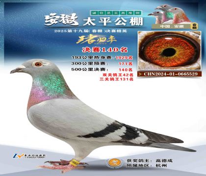 ̫ƽ?jng)Qِ140