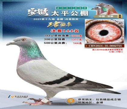 ̫ƽ?jng)Qِ144