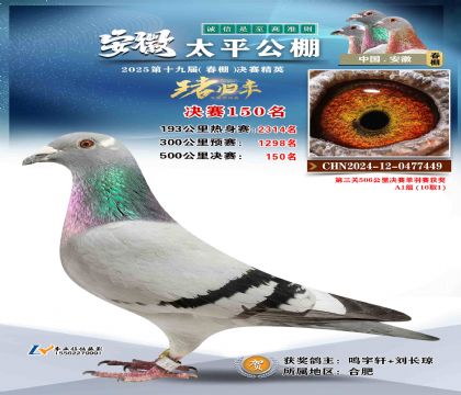̫ƽ?jng)Qِ150