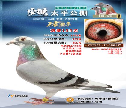 ̫ƽ?jng)Qِ155