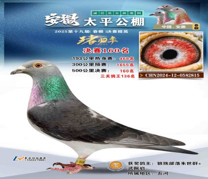 ̫ƽ?jng)Qِ160