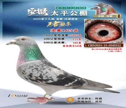 ̫ƽ?jng)Qِ165