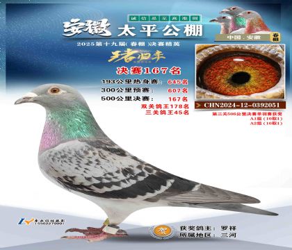 ̫ƽ?jng)Qِ167