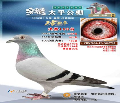 ̫ƽ?jng)Qِ168