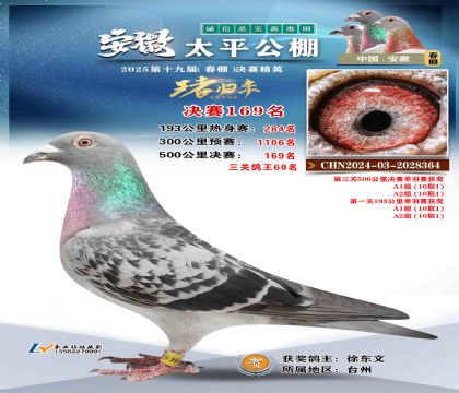 ̫ƽ?jng)Qِ169