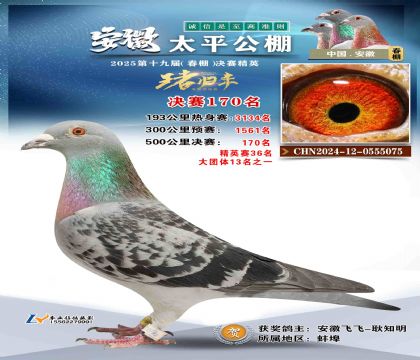 ̫ƽ?jng)Qِ170