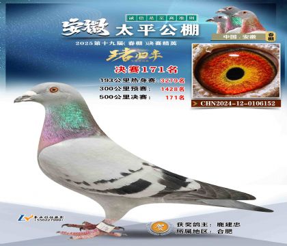 ̫ƽ?jng)Qِ171