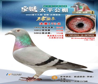 ̫ƽ?jng)Qِ172