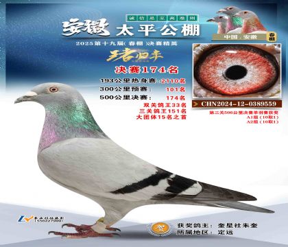̫ƽ?jng)Qِ174