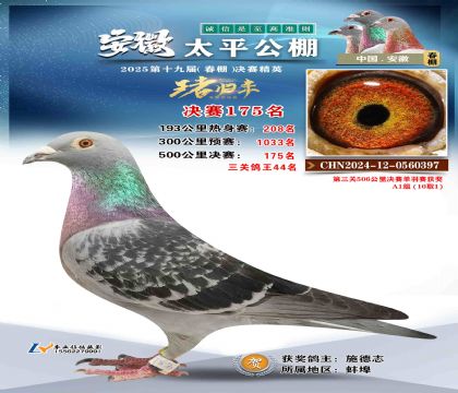 ̫ƽ?jng)Qِ175