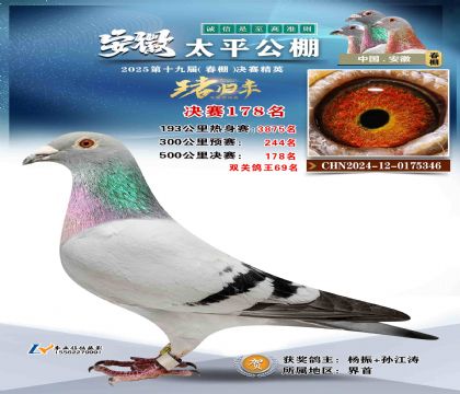 ̫ƽ?jng)Qِ178