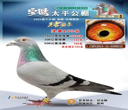 ̫ƽ?jng)Qِ180